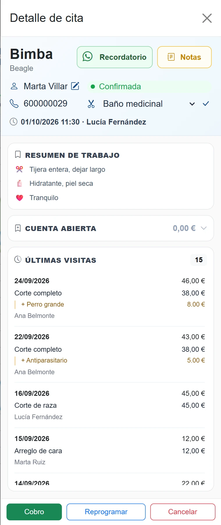 Detalle de una cita en TK Control, con el resumen de trabajo y las últimas visitas